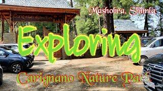 Carignano Nature Park Mashobra | Tour2Himachal | Shimla Hill | Mountains view | Nature Park