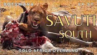 Savuti South and the Marsh - Solo Africa Overland, Ep. 57