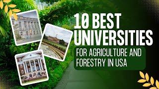 10 Best universities for Agriculture and Forestry in USA