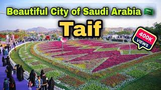 Beautiful City of Saudi Arabia Taif | Taif Saudi Arabia | Abdul Latif Chohan