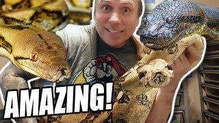 YOU WONT BELIEVE THIS AMAZING SNAKE COLLECTION!! | BRIAN BARCZYK