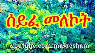 ሰይፈ መለኮት - Seife Melekot