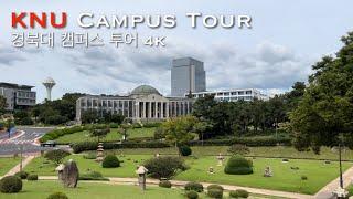 4K Korea | KNU Kyungpook National University Campus Tour, Daegu, Korea | 대구 경북대학교 산책 | White Noise