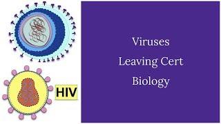 Viruses-Leaving Cert Biology-New recording