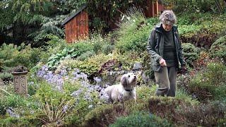 Drawn into the Garden - a short documentary