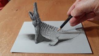 How To Draw A 3d Crocodile!