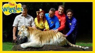 There Are So Many Animals!  Animals Songs for Kids with The Wiggles