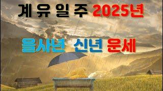 계유일주, 2025년 을사년 신년운세 사주분석