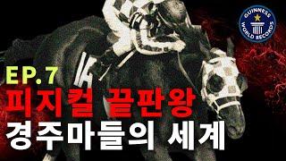 [조프로의경마실화 ep.7]피지컬의 끝판왕 기네스에 오른 경주마! feat. 미스터파크 새강자