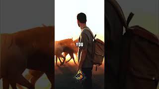 You are not the body.. you are source #seebeyondreality #607unc #spirituality #humanity #soul