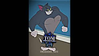 Tom vs Jerry | In Terms of Writing |