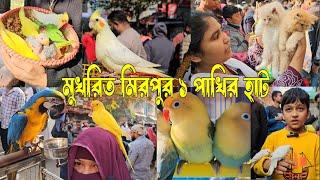 মিরপুর ১ পাখির হাট ক্রেতা বিক্রেতায় মুখরিত | mirpur 1 pakhir hat #viralvideo