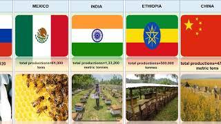 Top 10 Honey Producing Countries in the World