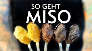 Kochen mit Miso - Der ultimative Miso Guide für Anfänger (3 schnelle Rezepte)