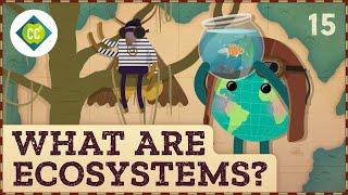 What Are Ecosystems? Crash Course Geography #15