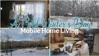 A Cold Winter's Day / Mobile Home Living