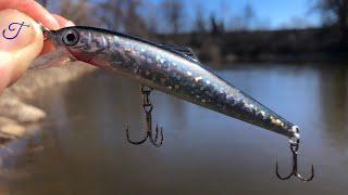 Shiny Jerkbait smacked by 6 River Fish!