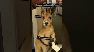 wait for it #sapmemes #sapvideos #viralshorts #explore #likeme #followforfollowback #sap #saphana