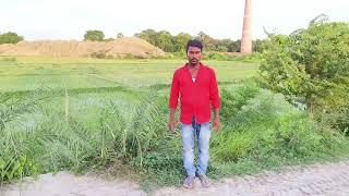 Bihar beautiful  gaon #new  best #video ammamauri #reels