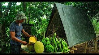 CAMPING PANEN BUAH NANGKA ,PETE,PISANG DI GUYUR HUJAN DERAS TENGAH MALAM