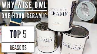 Why Wise Owl | One Hour Ceramic | Top 5 Reasons to Try & Use Wise Owl OHC Luxury Interior Paint