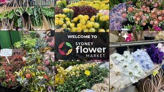 Sydney's Flemington Flower Market: Where Flowers Meet Affordable Prices!