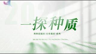 科普话强国农业强国系列《一探种质》