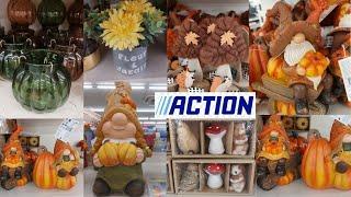 ***TOLLE PREISWERTE  HERBSTDEKO BEI ACTION***