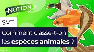 La classification des animaux, comment ça marche ?