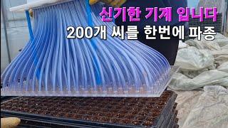 신기한 파종기계#한번에 200개의 씨를 파종#쉬운농법#농사유튜브