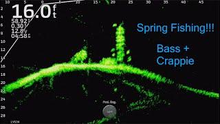 Spring Fishing For Bass and Crappie!!!  Full-Screen LiveScope Fishing Footage!!!  Trip #17