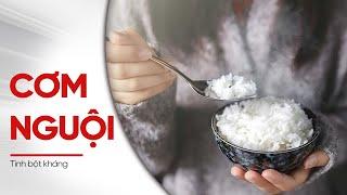 Ăn Cơm Nguội: Lợi Hay Hại? | Bác Sĩ Hải