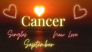 CANCER ~ SINGLES New Love Reading September 2024