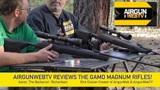 Gamo Magnum .177 and .22 FULL REVIEW – AirgunWebTV Special Feature!