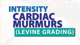 Grades of Murmur | Levine Grading for Heart Murmurs Intensity