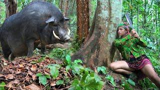 face the enemy, in the jungle, hunting, trapping wild animals, primitive survival - phượng pú