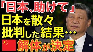 【海外の反応】「日本に助けを求めるも･･･」日本を散々批判した結果解体が決定!!【にほんのチカラ】