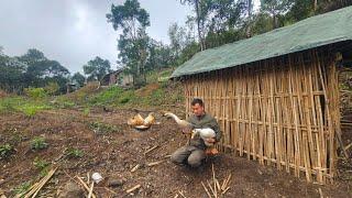 #2 Transforming the Wild Forest into a Dream Farm - Building Barns, Raising Chickens and Geese