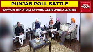 BJP-Captain Amarinder Singh-Akali Faction Announce Punjab Alliance, Joint Manifesto Soon