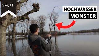 Hochwasserzeit ist Big Fish Zeit | Krumme Ruten | Vlog #1