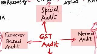 GST Audit - Types