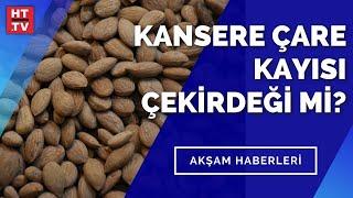 Acı kayısı çekirdeği kanser hücrelerini öldürüyor mu? | Akşam Haberleri - 30 Ağustos 2021