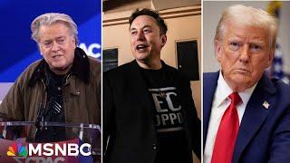 Tensions growing between Steve Bannon and Elon Musk: NYT