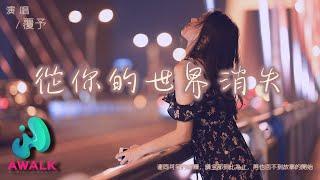 Fu Yu - Cong Ni De Shi Jie Xiao Shi【Pinyin Lyrics】