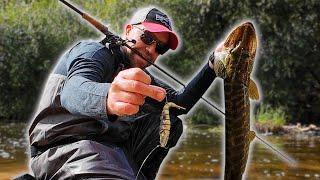 Big fish strikes under my feet! Handing hard lures tested