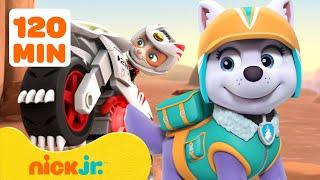 Paw Patrol | La Patrulla Canina está en Todas Partes Menos en Bahía Aventura | 120 Minutos | Nick Jr