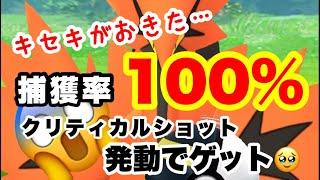 ポケモンGO ガラル三鳥　サンダー　捕獲　ゲット　クリティカルショット