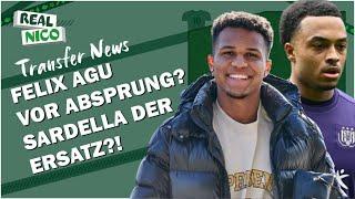 FELIX AGU vor Absprung? / SARDELLA der ERSATZ?!