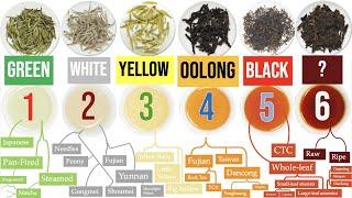 Discover the 6 Tea Types and a WORLD of Awesome Tea Sub-Types | Masterclass on Tea Ch. 1 of 8