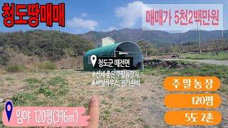 청도땅매매426 매전면 계획관리지역 임야 120평(396㎡) 5,200만원 청도IC 28분 25km #청도부동산  #청도토지 #청도주말농장